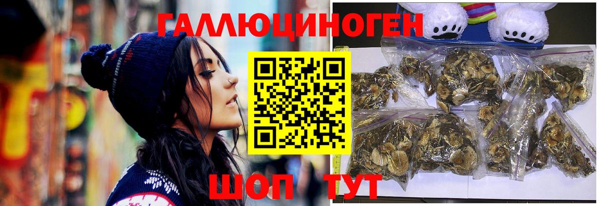 Каменск-Шахтинский  Псилоцибиновые грибы Psilocybe  Псилоцибиновые грибы GOLDEN TEACHER  Вход с VPN 