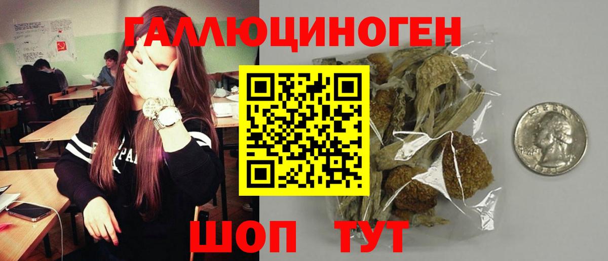 Псилоцибиновые грибы ЛСД Каменск-Шахтинский