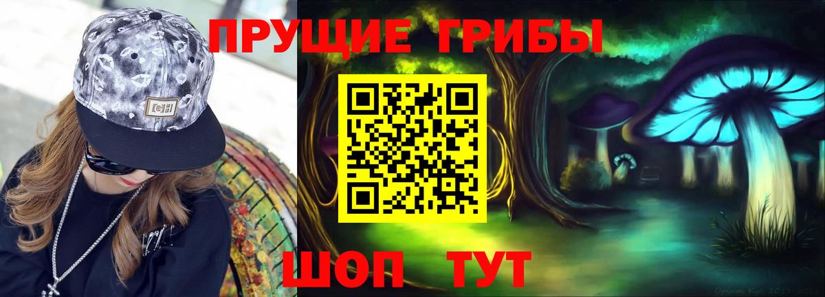 Галлюциногенные грибы Cubensis Каменск-Шахтинский